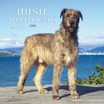 Irish Wolfhounds 2008 Square Wall Calendar (German, French, Spanish and English Edition)