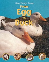 From Egg to Duck (How Things Grow)