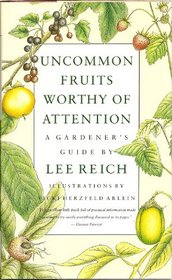 Uncommon Fruits Worthy of Attention: A Gardener's Guide