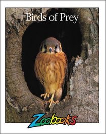 Birds of Prey (Zoobooks)