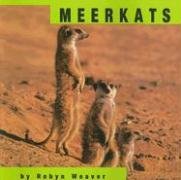 Meerkats (Animals)