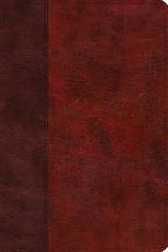 ESV Story of Redemption Bible: A Journey through the Unfolding Promises of God (TruTone, Burgundy/Red, Timeless Design)