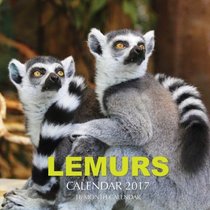 Lemurs Calendar 2017: 16 Month Calendar