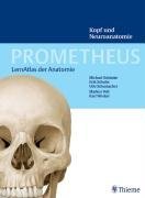 Prometheus Kopf und Neuroanatomie.