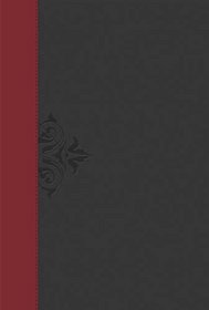 The Lucado Life Lessons Study Bible, NKJV: Inspirational Applications for Living Your Faith