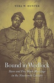 Bound in Wedlock: Slave and Free Black Marriage in the Nineteenth Century