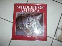 Wildlife of America