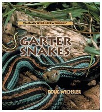 Garter Snakes (Really Wild Life of Snakes)