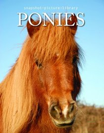Horses (Snapshot Picture Library)