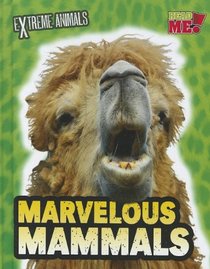 Marvelous Mammals (Read Me!: Extreme Animals)