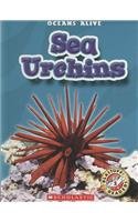 Sea Urchins (Blastoff! Readers: Oceans Alive)