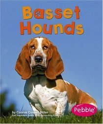 Basset Hounds (Pebble Books)