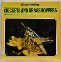Discovering Crickets and Grasshoppers (Discovering Nature)
