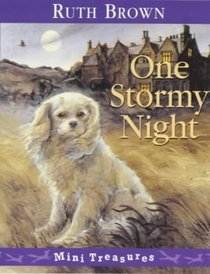 One Stormy Night (Red Fox Mini Treasure)