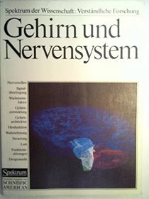 Gehirn und Nervensystem: Woraus sie bestehen - wie sie funktionieren - was sie leisten (German Edition)
