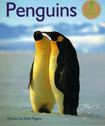 Penguins (alphakids)