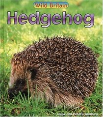Hedgehog (Wild Britain: Animals)