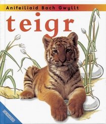 Teigr (Anifeiliad Bach Gwyllt) (Welsh Edition)