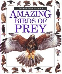 Amazing Birds Of Prey (Eyewitness Juniors)