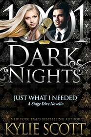 Just What I Needed: A Stage Dive Novella