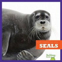 Seals (Life Under the Sea)