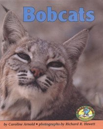 Bobcats (Early Bird Nature Books)