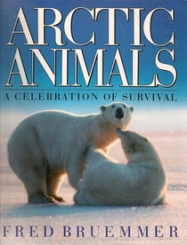 Arctic Animals: A Celebration of Survival