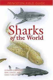 Sharks of the World (Princeton Field Guides)