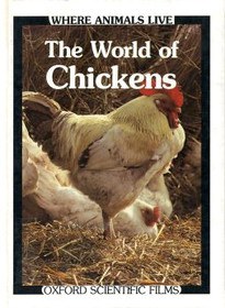 World of Chickens (Where Animals Live)