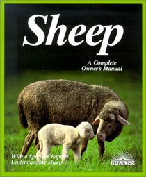 Sheep: Everything About Housing, Care, Feeding, and Sicknesses