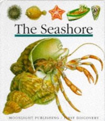 The Seashore (First Discovery)