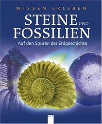 Wissen erleben. Steine und Fossilien