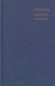 A Small Boy and Others: Imitation and Initiation in American Culture from Henry James to Andy Warhol (Series Q)