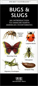 Bugs & Slugs: An Introduction to Familiar North American Species