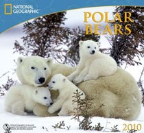 Polar Bears - 2010 National Geographic Wall Calendar