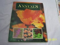 how to Plan and Grow Annuals