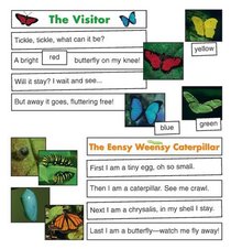 Scholastic Interactive Pocket Charts: Butterflies (Grades PreK-8)
