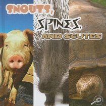 Snouts, Spines, & Scutes (What Animals Wear)