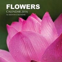 Flowers Calendar 2016: 16 Month Calendar