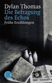 Die Befragung des Echos. Frühe Erzählungen und Aufsätze.