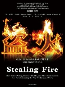 Stealing Fire: How Silicon Valley, the Navy SEALs, and Maverick Scientists Are Revolutionizing the Way We Live and Work (Chinese Edition)