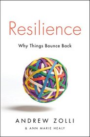 Resilience: Why Things Bounce Back