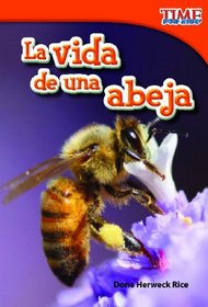 La vida de una abeja (Time for Kids Nonfiction Readers: Level 1.5) (Spanish Edition)