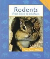 Rodents: From Mice to Muskrats (Animals in Order)
