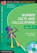 Number Facts and Calculations (100% New Developing Mathematics)