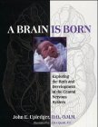 A Brain is Born: Exploring the Birth and Development of the Central Nervous System