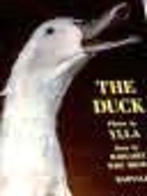 The Duck
