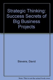 Strategic Thinking: Success Secrets of Big Business Projects