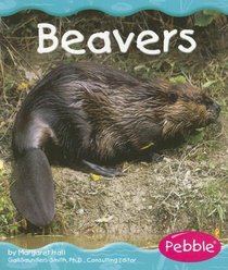Beavers (Wetland Animals)