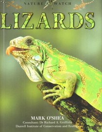 Lizards (Nature Watch)